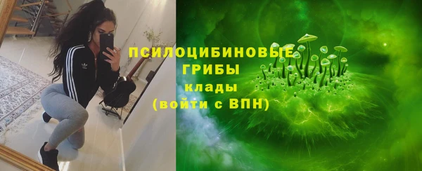 скорость Каменногорск