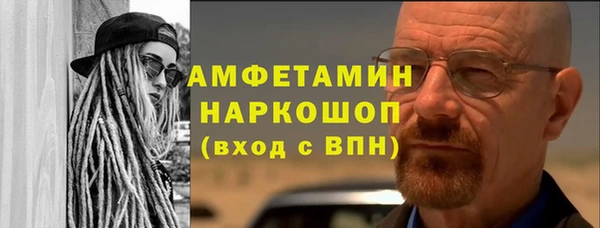 скорость Каменногорск
