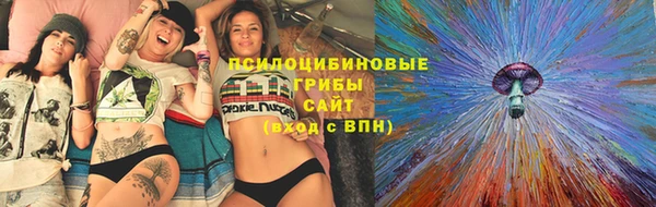 скорость Каменногорск